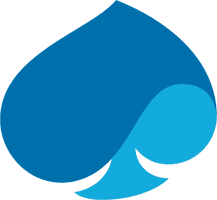 Capgemini